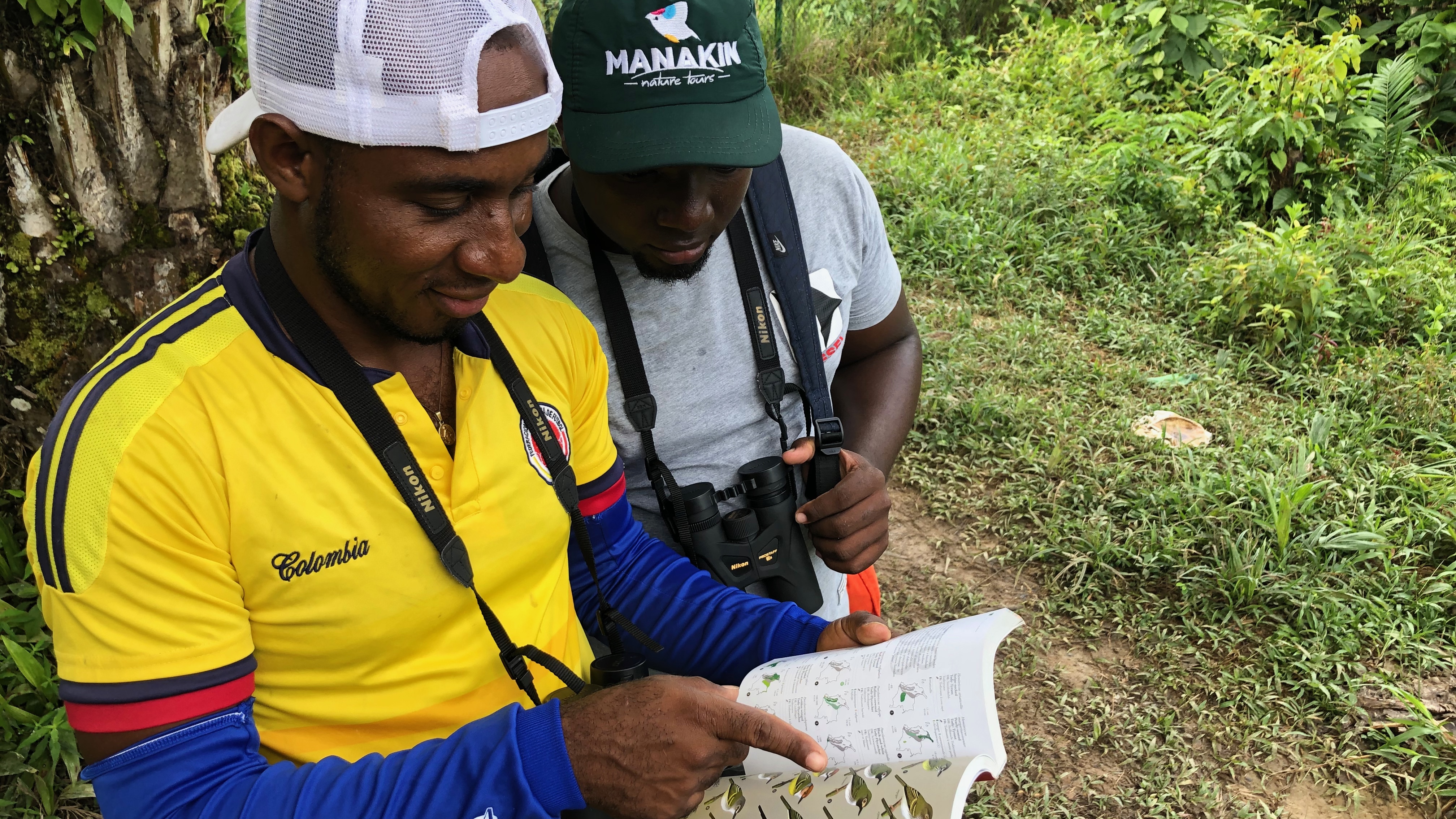 Birdwatch at Guapi, Cauca