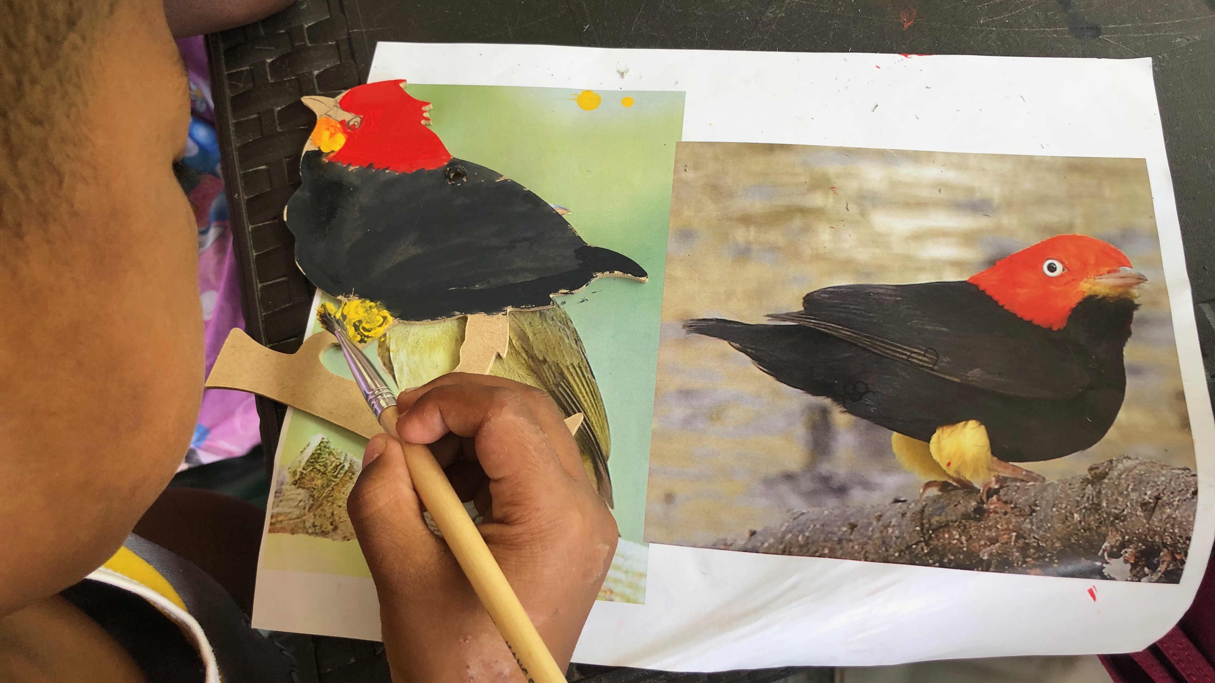 Birdwatching at CC Alto y Medio Dagua, Buenaventura, Valle del Cauca Art workshop at Vuelta Candelillas, San Andrés de Tumaco, Nariño