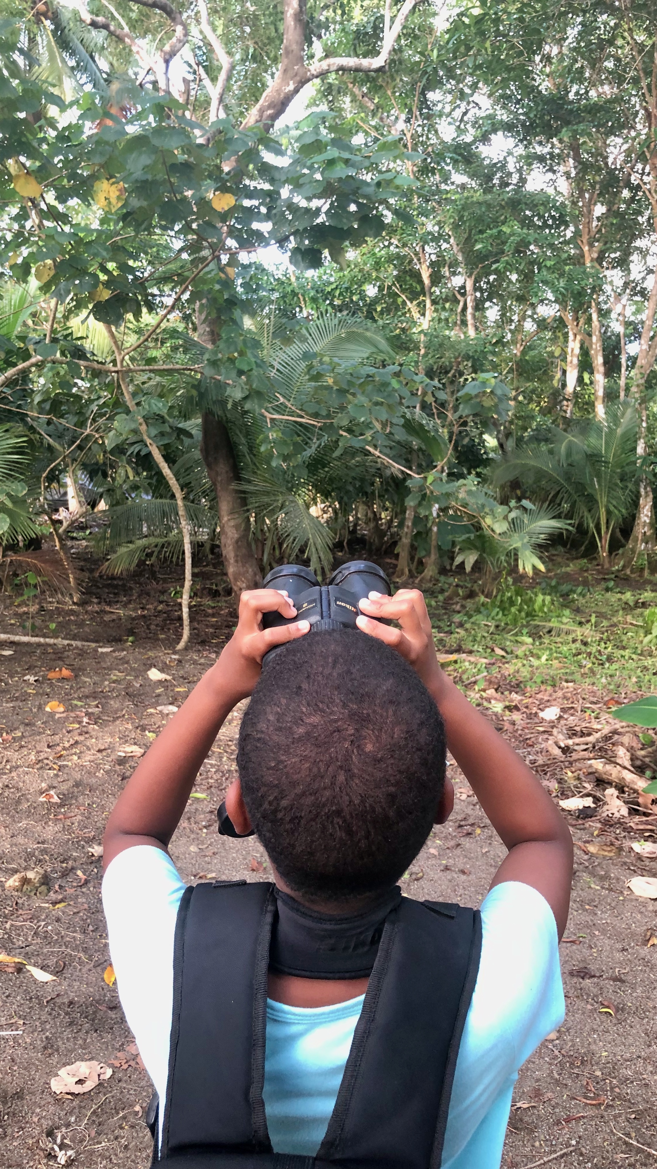 Kid birdwatching
